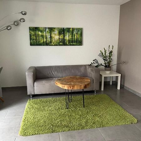 Gemuetliches Apartment Nahe Porsche Вайссах Экстерьер фото